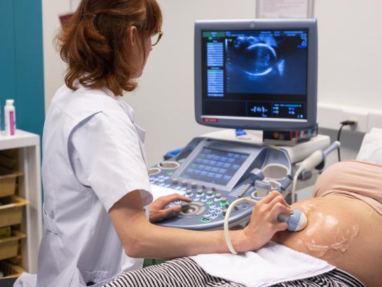 echografie zwangerschap