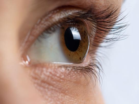 oog