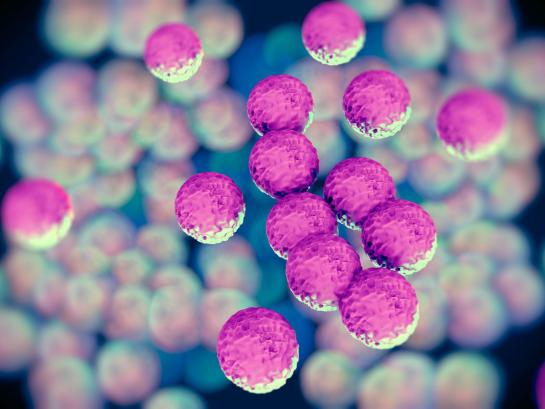ziekenhuisinfectie