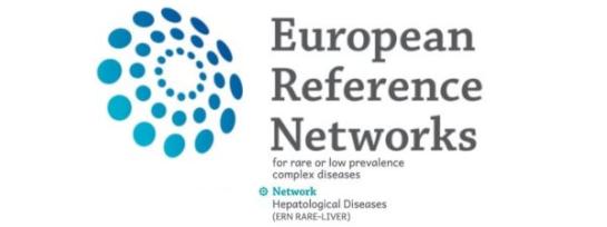 Europees referentienetwerk leverziekten