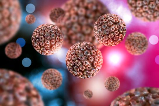 Beeld van het virus herpes simplex in het lichaam