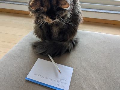 Pen-Pootproject